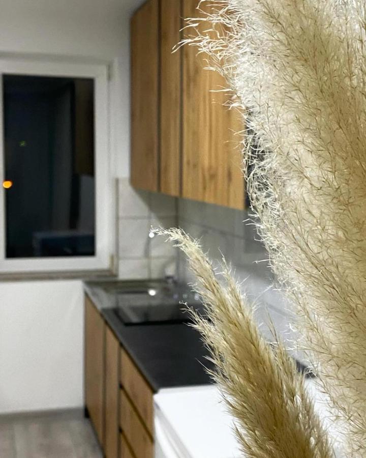Modern Lux Apartment Brčko 외부 사진